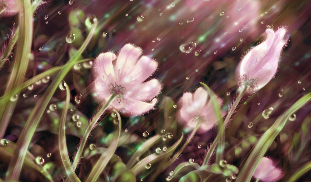 Летний дождь картинка