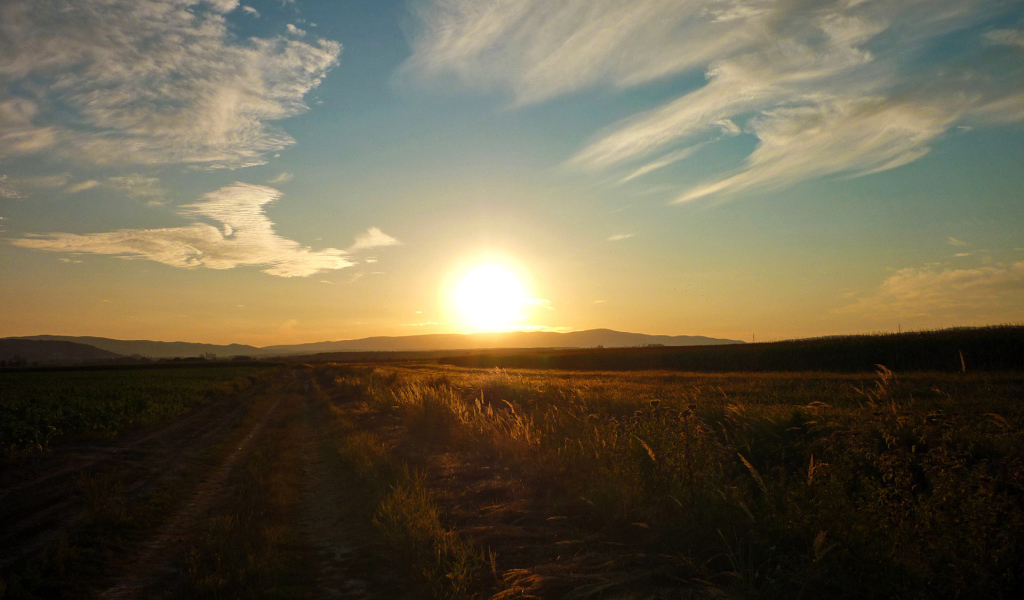 Закат в поле