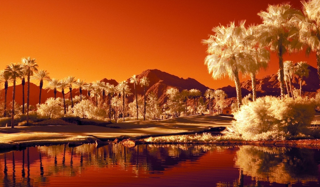 Последний закат