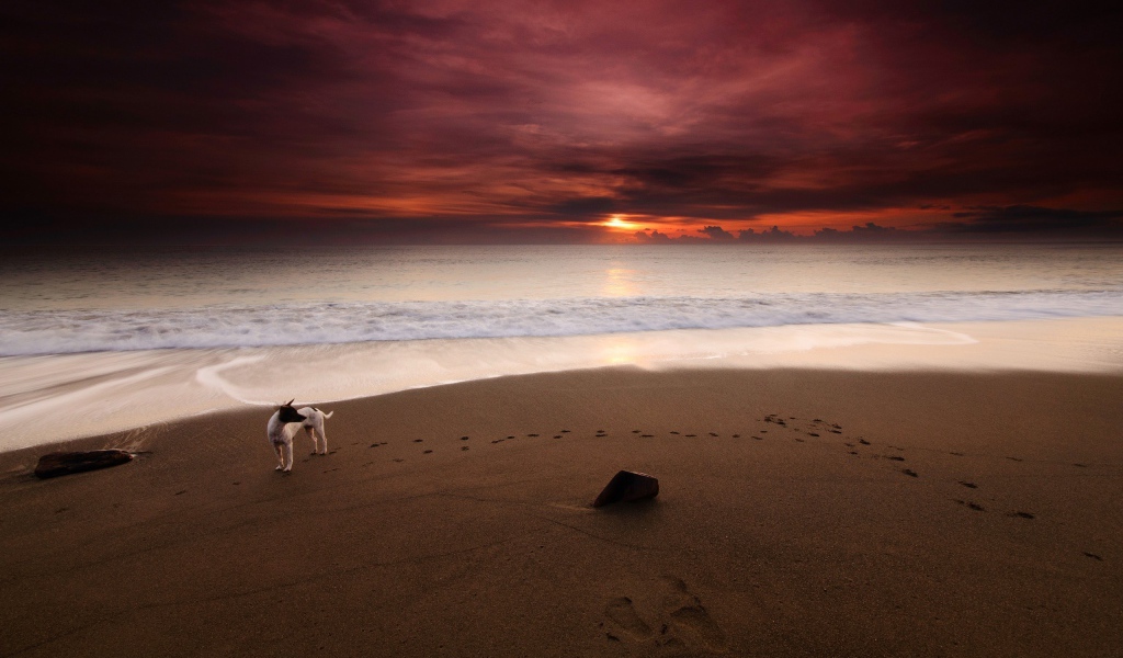Фото Вечер на морском берегу