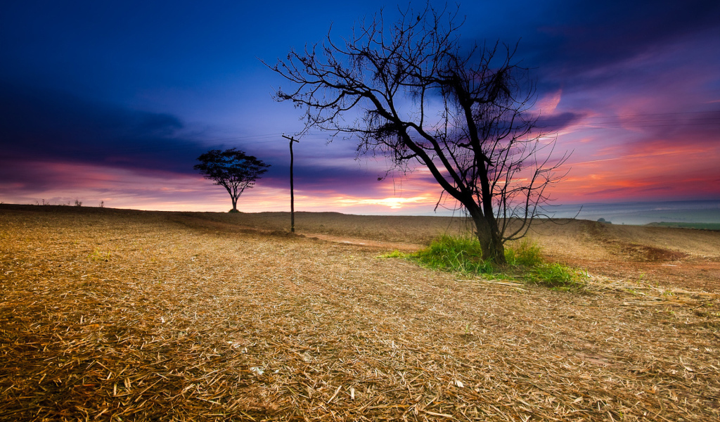 Закат в поле