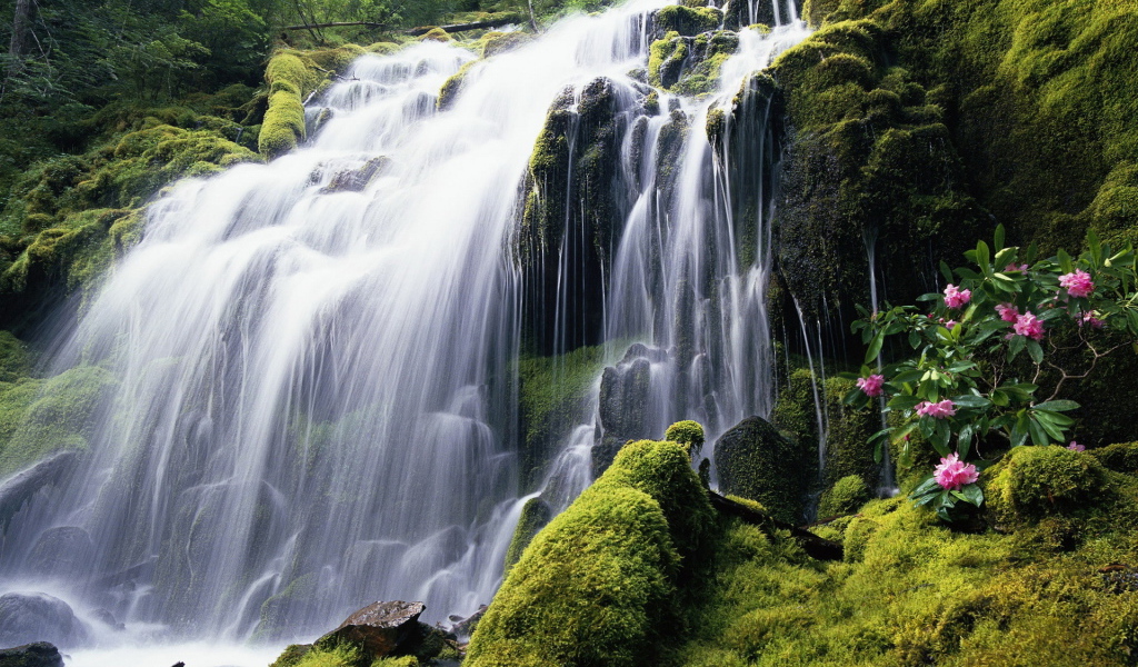 Красивый лесной водопад
