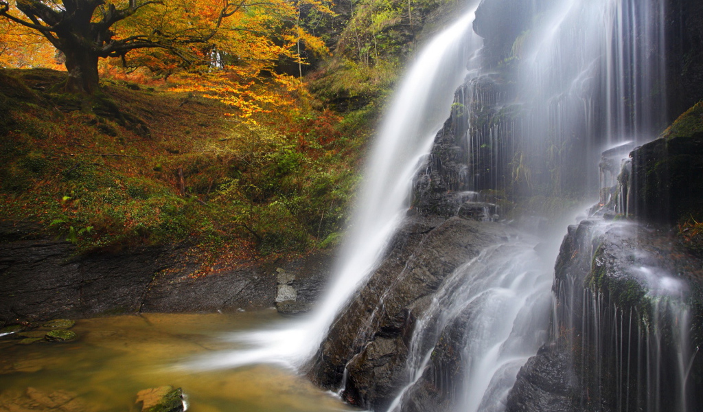 Водопад в лесу