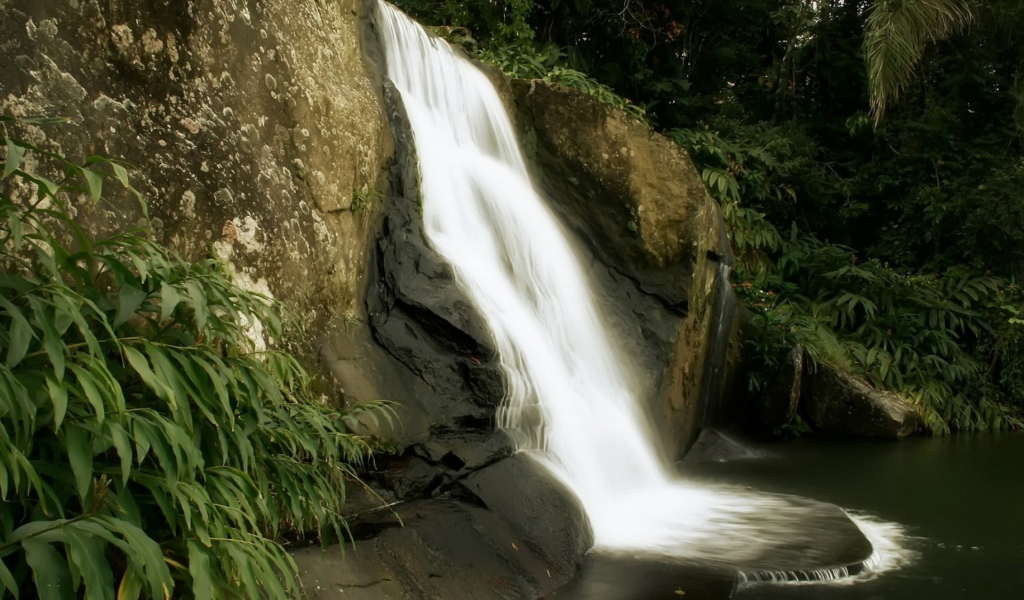Маленький лесной водопад