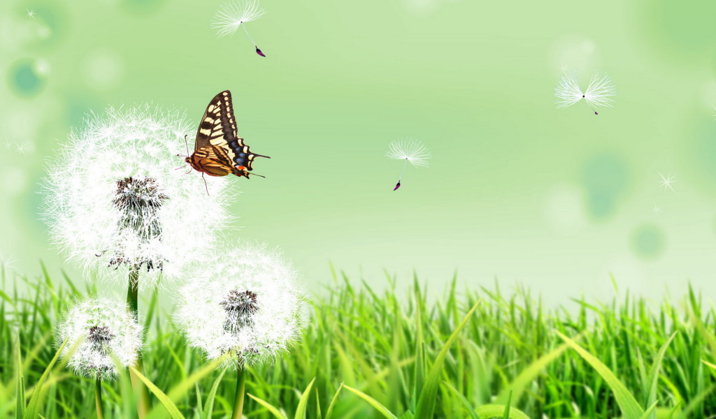 Бабочка и одуванчики