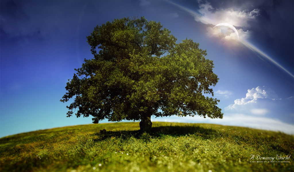 Мир фантазии