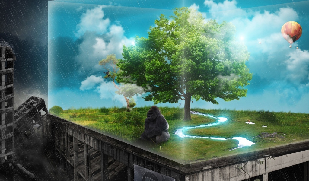 Зеленый уголок