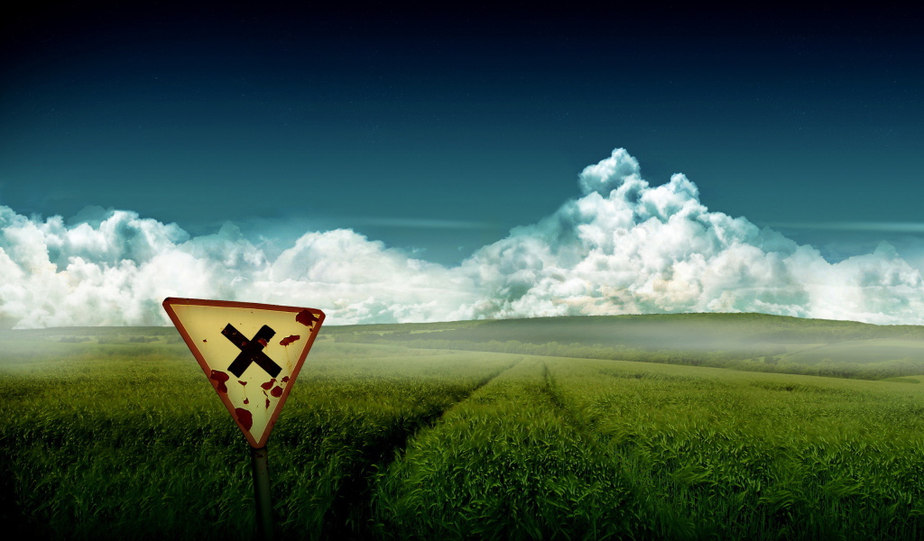 Зеленое поле