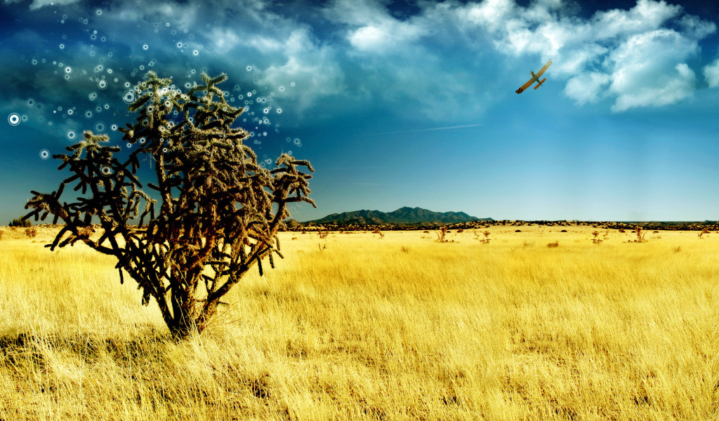 Волшебное дерево