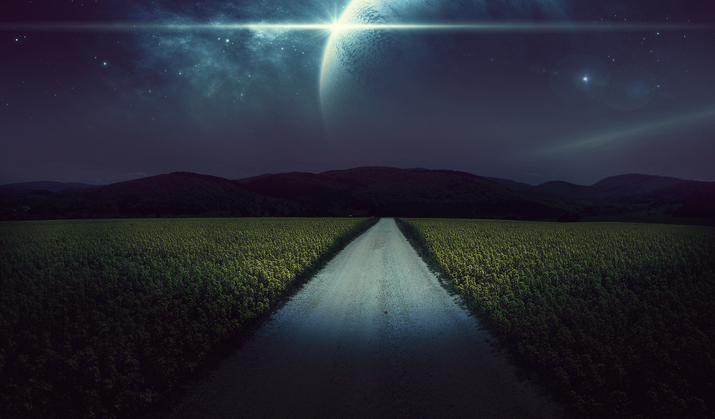 Ночная дорога