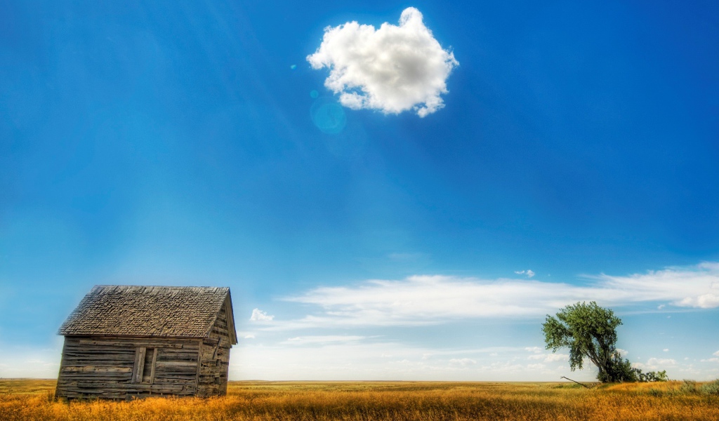 Старый сарай в поле