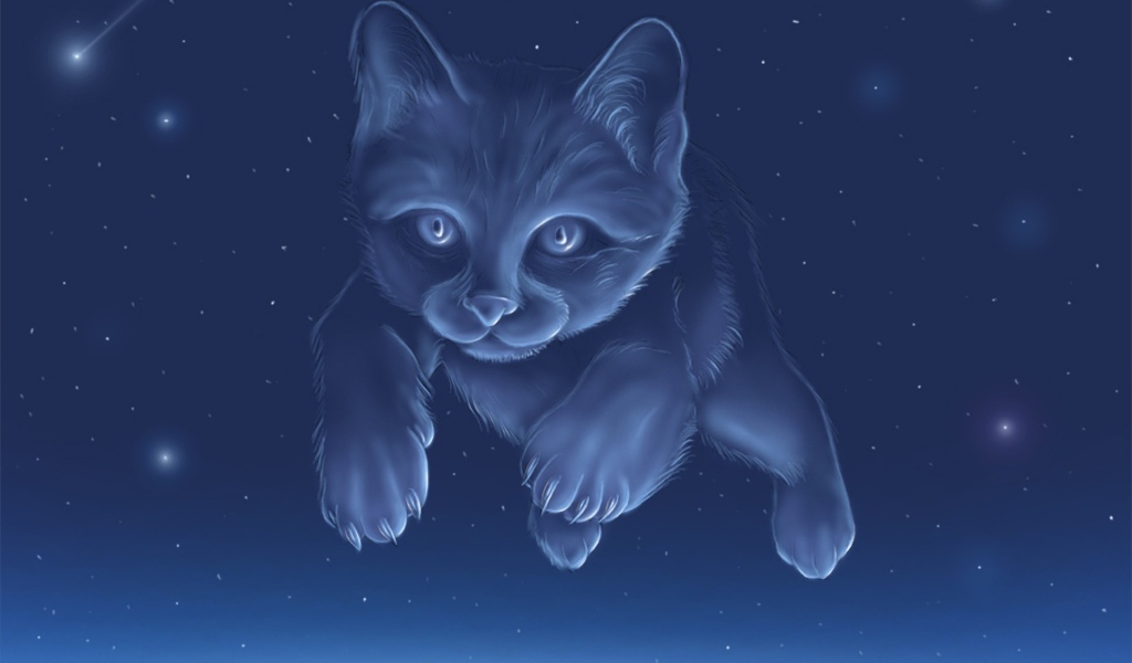 Созвездие кота