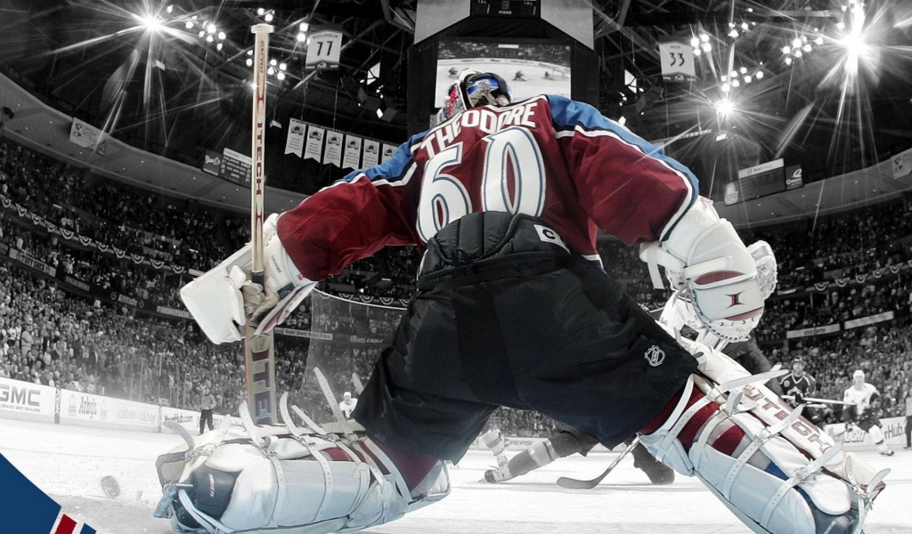 Жозе Теодор, НХЛ