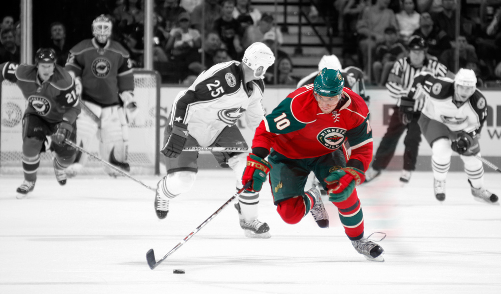 Minnesota Wild, NHL