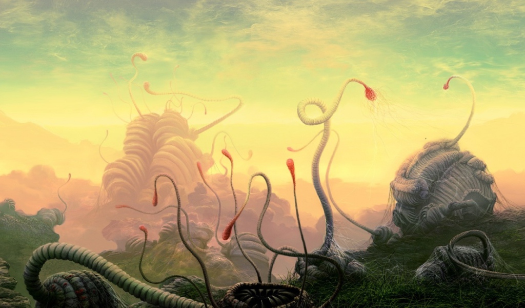 Сезон размножения