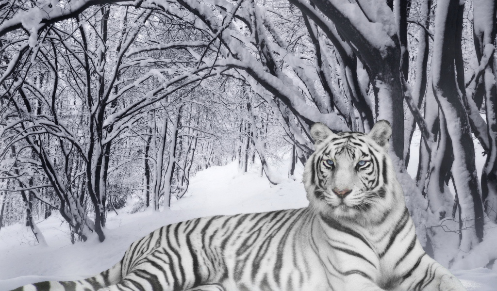 Белый тигр в лесу