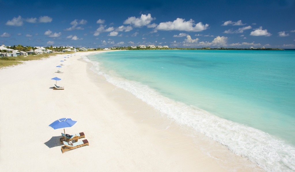 Бабочка на камнях