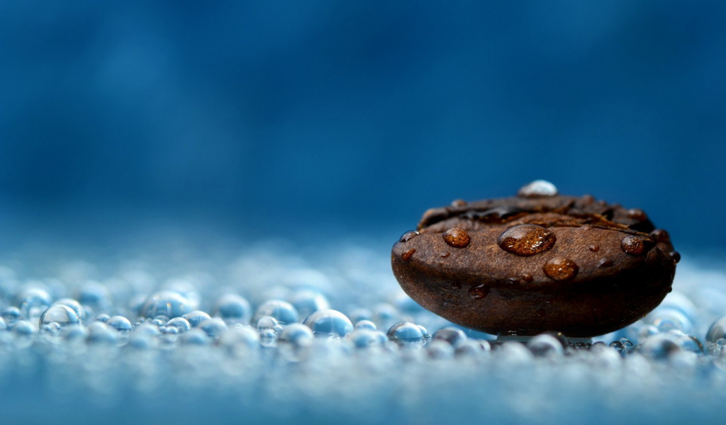 Кофейное зернышко