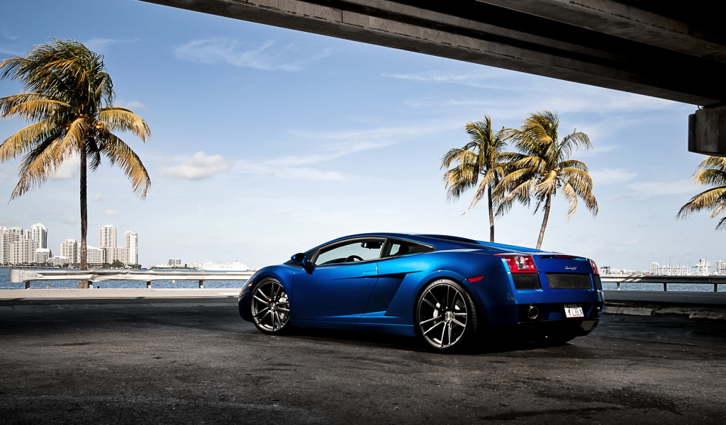 Lamborghini Gallardo