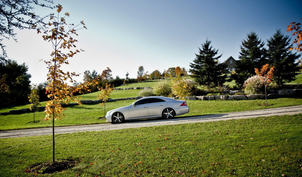 Mercedes Benz CLS на природе