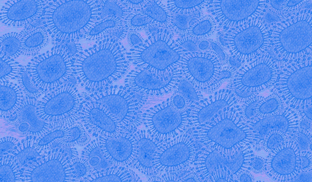 Вирусный фон