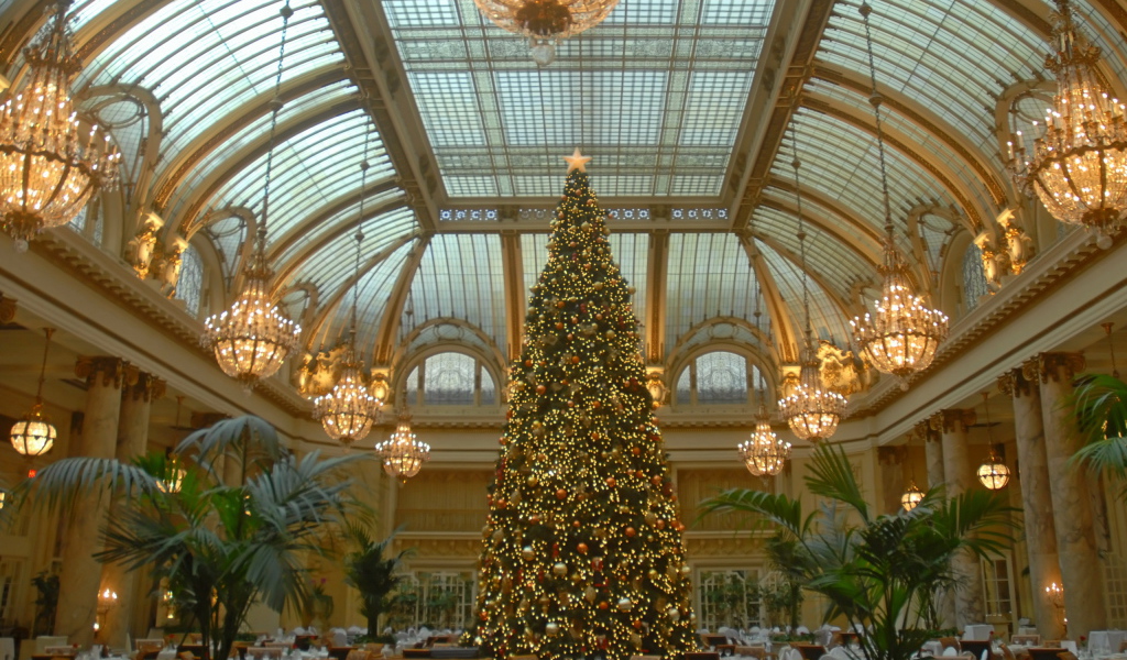 Новогодняя елка в зале