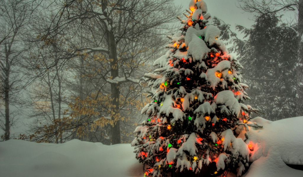 Наряженная елка в лесу