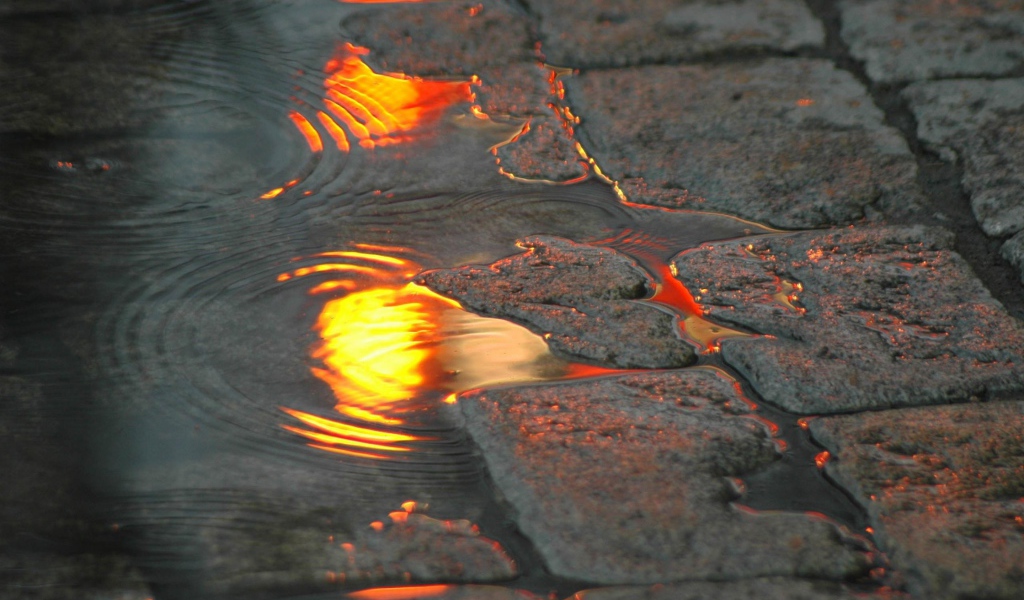 Тротуарная плитка