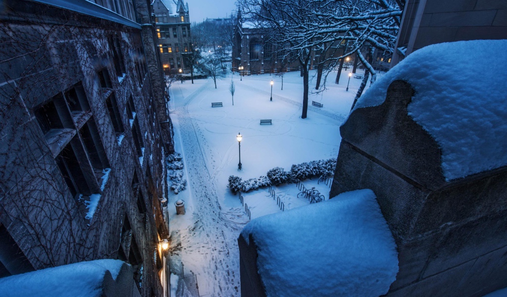 Заснеженная улица