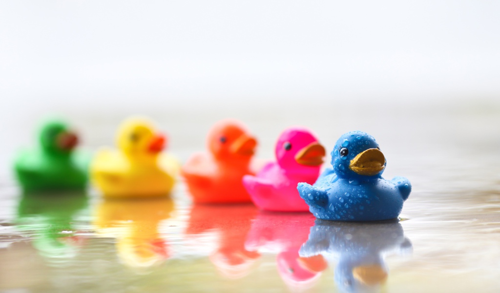 Разноцветные уточки