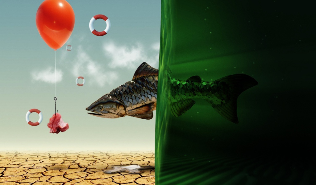 Рыбная мечта