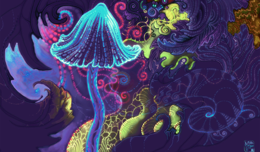 Волшебный гриб