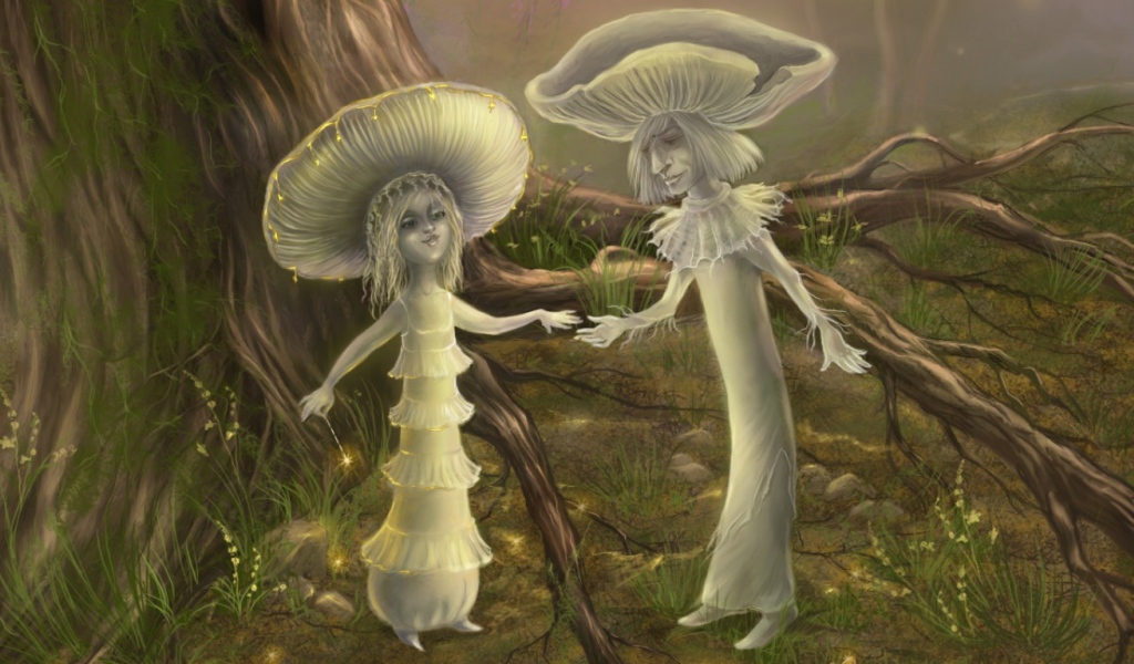 Волшебные грибы