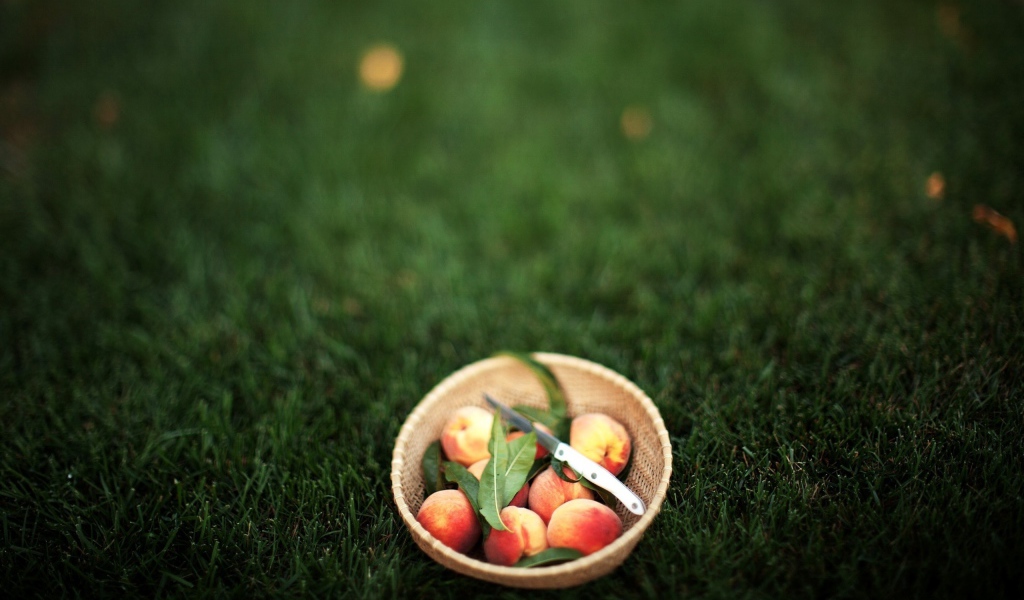 Персики в миске