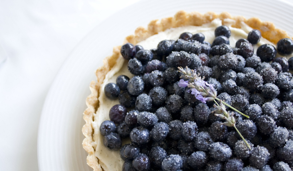 Ягода черника