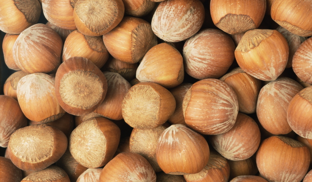 Лесные орехи