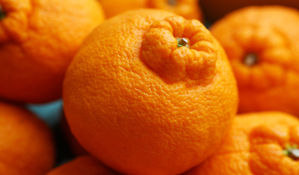 Россыпь мандаринов