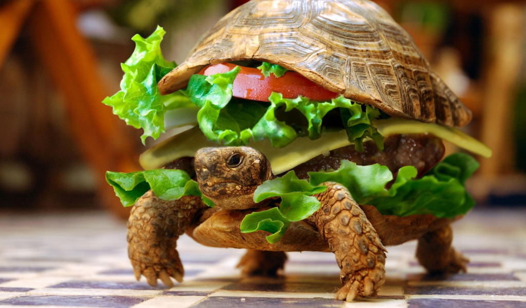 Вкусная черепаха