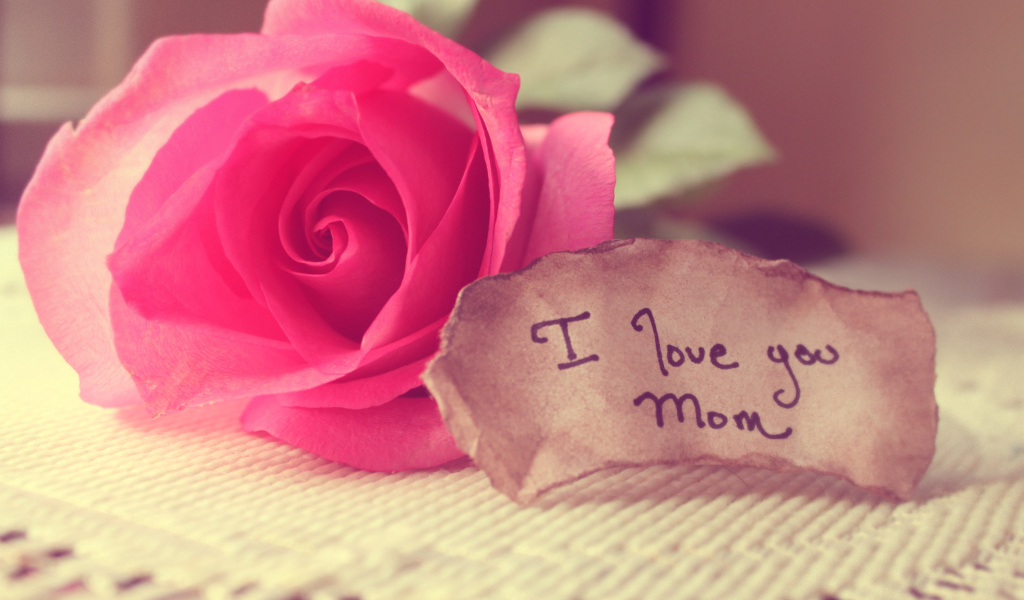 Записка и роза