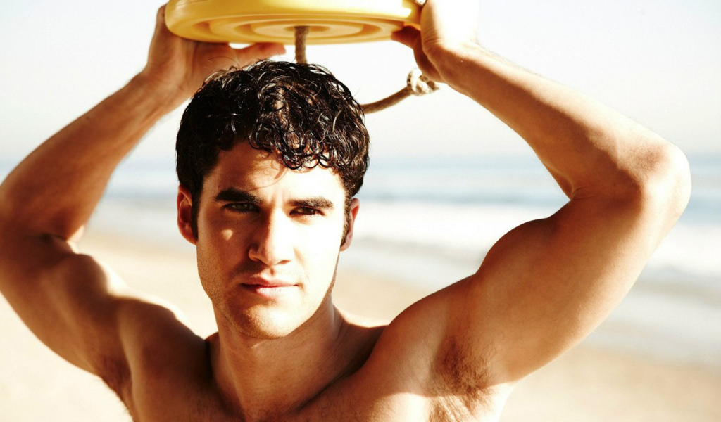 Даррен Крисс (Darren Criss)