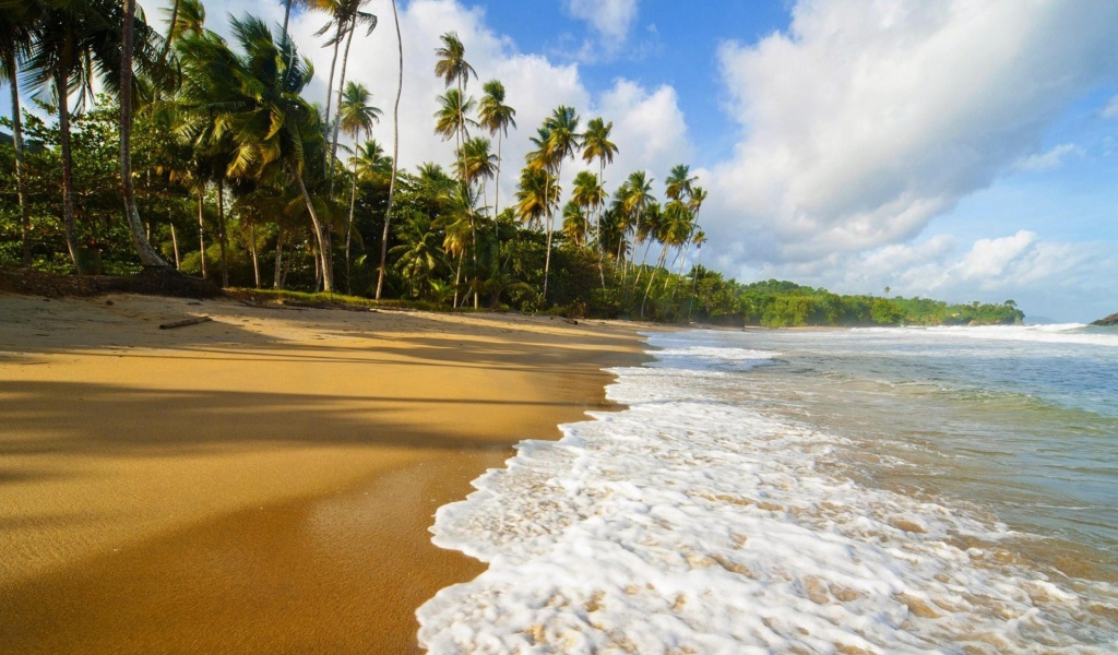 Пальмы и пляж