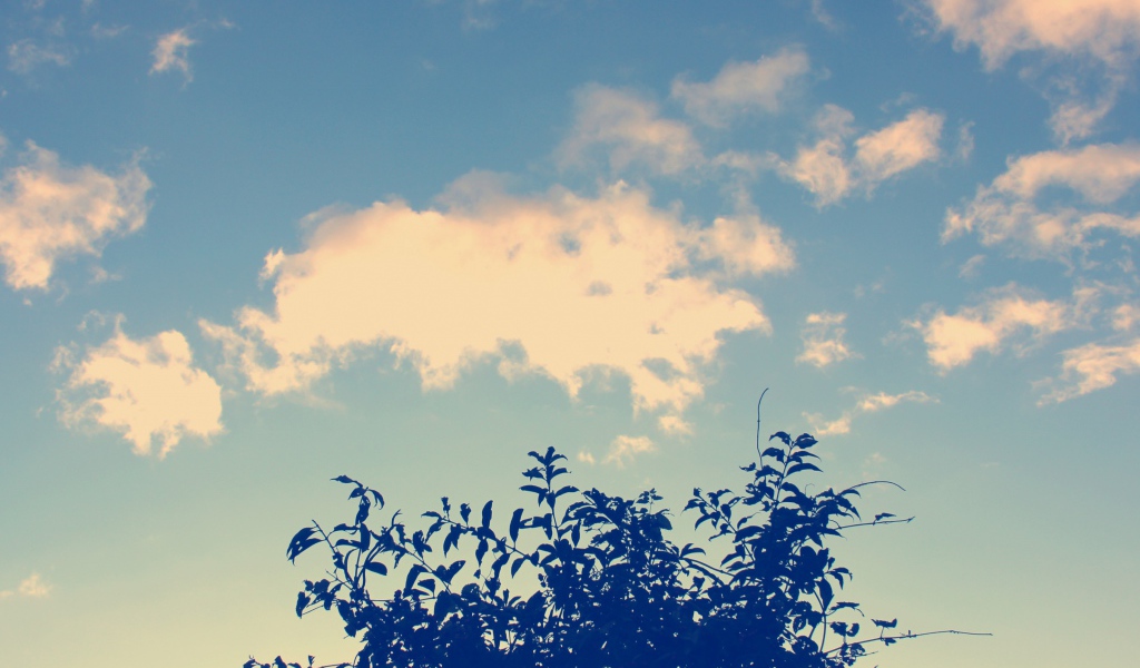 Облака и дерево