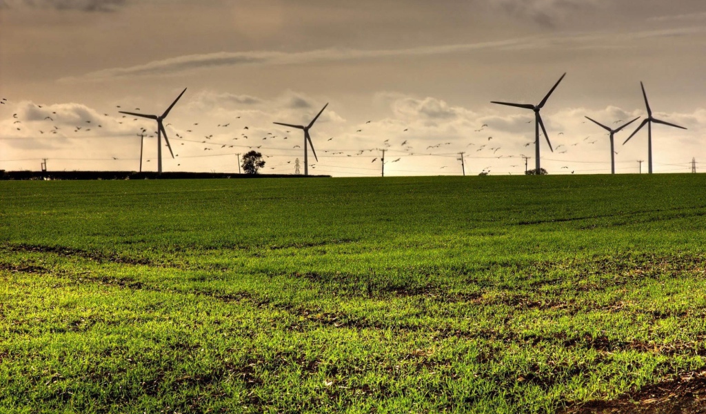 Турбины в полях