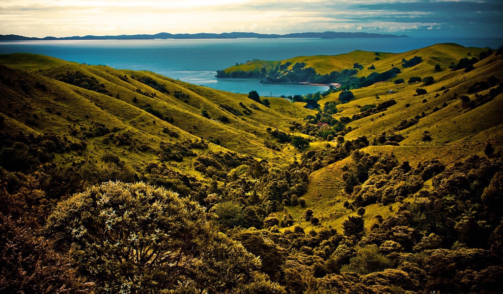 Долина у моря