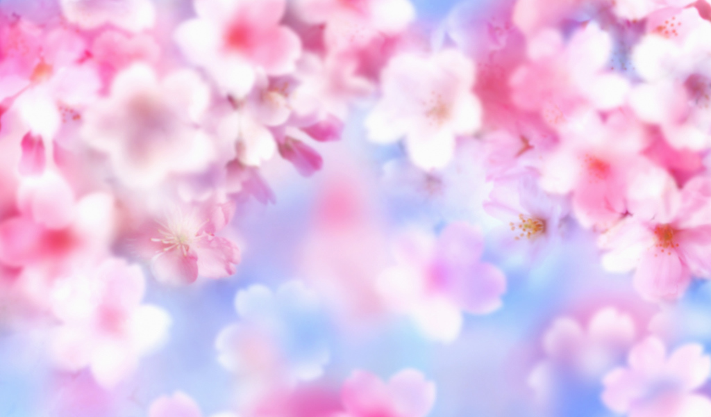 Розовые цветочки