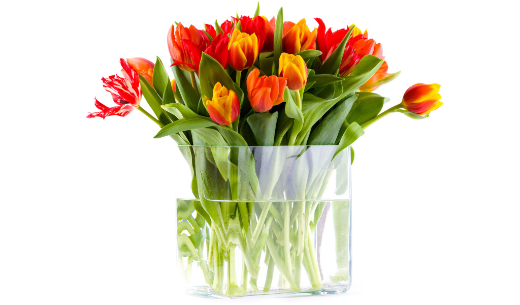 Ваза с тюльпанами
