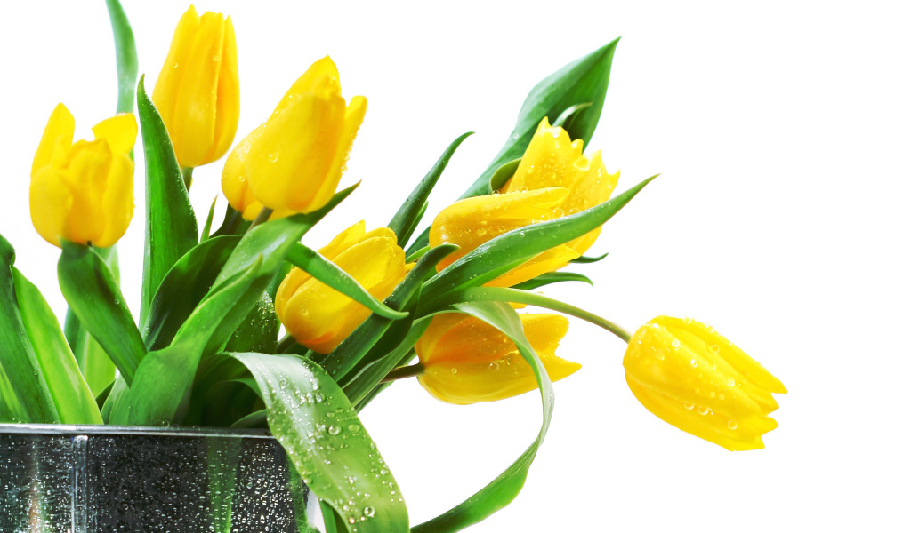 Желтые тюльпаны в вазе