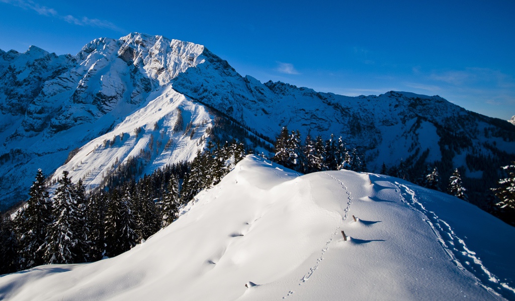 Утро в горах