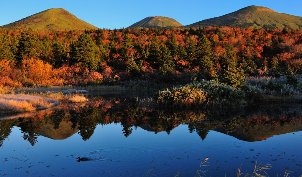 Горы у озера