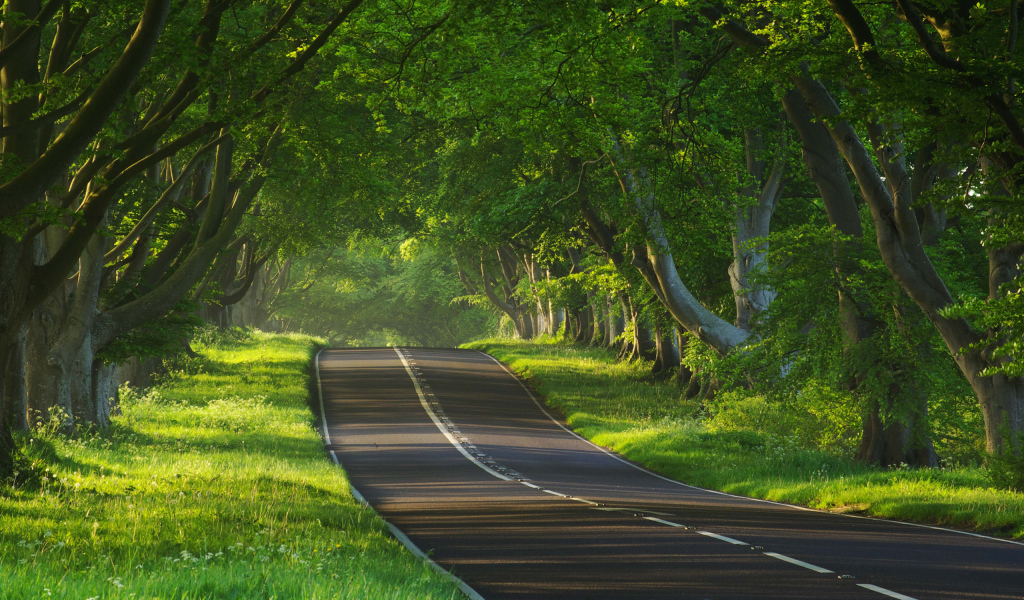 Дорога через тропики